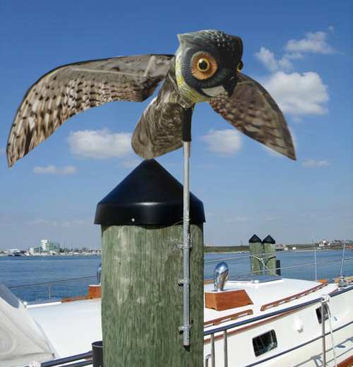 Prowler Owl Decoy